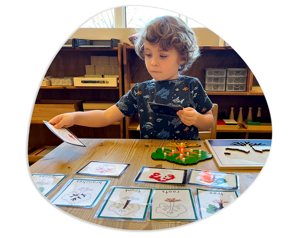 Casa Program at York Montessori School Casa Program at York Montessori School