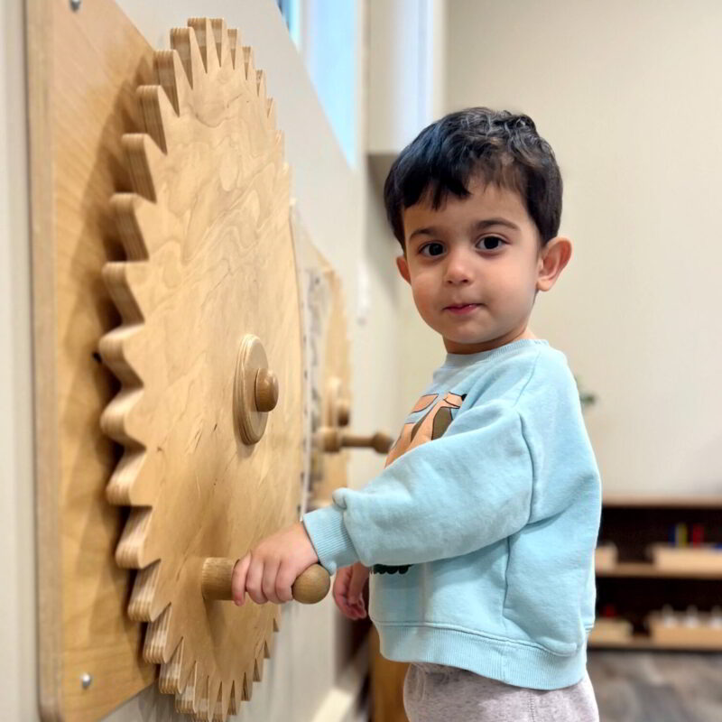 Toddler Curriculum - Movement