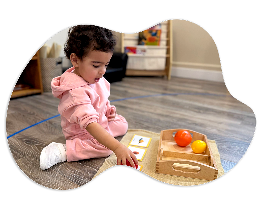 Toddler Program at York Montessori School Toddler Program at York Montessori School