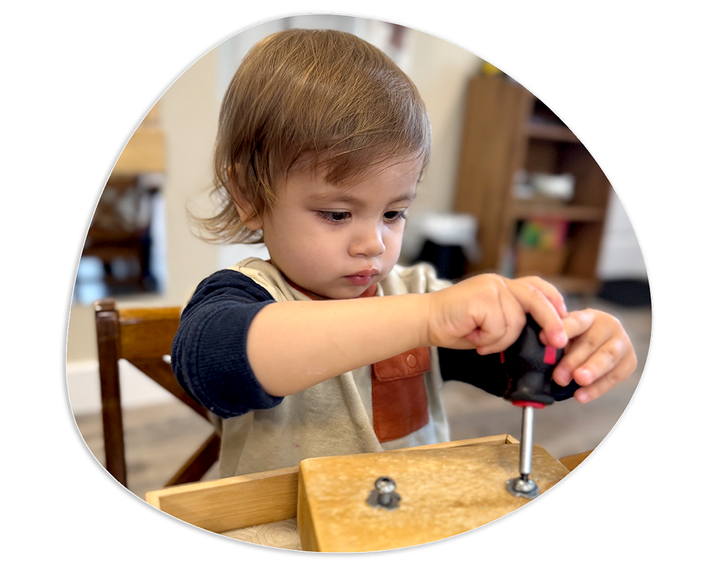 Toddler Program at York Montessori School Toddler Program at York Montessori School