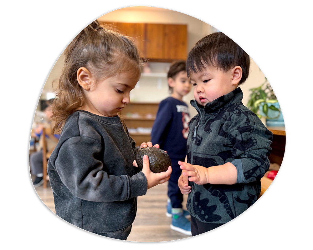Toddler Program at York Montessori School Toddler Program at York Montessori School